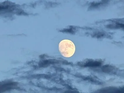 At Peace With How Things Are