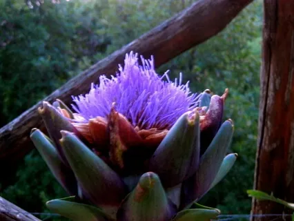 At The Center: Dementia (And) Awareness