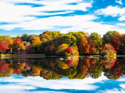 At The Center: Mindfulness And Cognitive Impairment