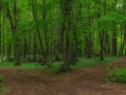 At The Crossroads: Choosing The Road Less Traveled