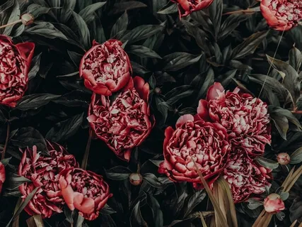 At The End Of The Day Meditation