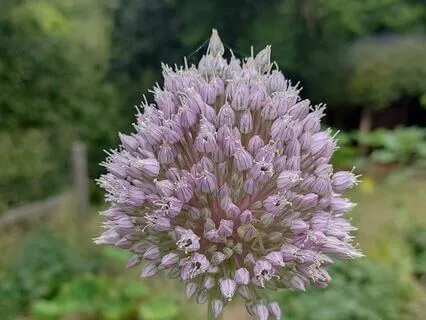 Mindfulness Now - Indian Flute - Meditative musics