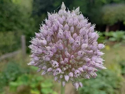 Mindfulness Now - Soft Sounds- Meditative Song