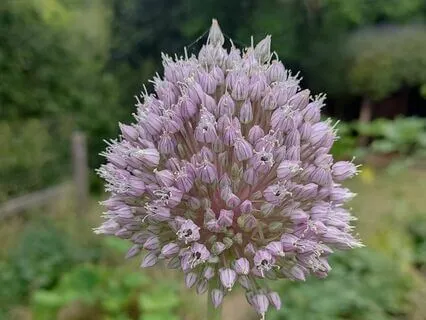 Mindfulness Now - Lo-Fi - Meditative Music