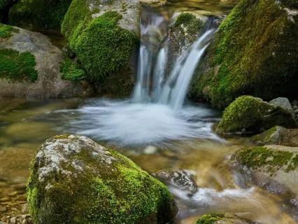 Atenció plena guiada amb el so relaxant d'un rierol