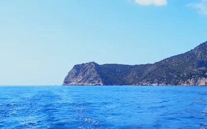 Bilateral Stimulation | Athenas