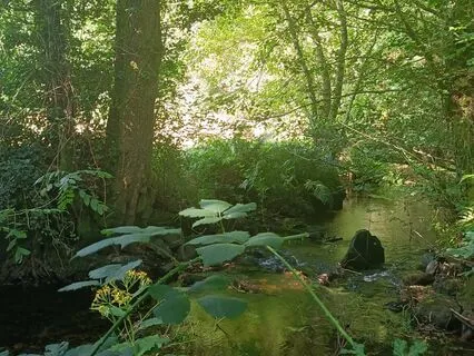 Atmosphere Ambient Music To Calm And Meditate [30 Minutes]