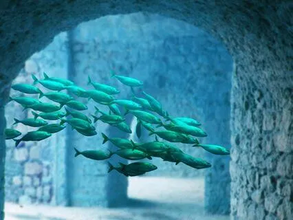 Atlantean Crossing - Instrumental for Meditation