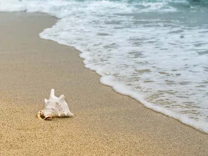 Atlantic Breeze: The Sweep Of Ocean Waves