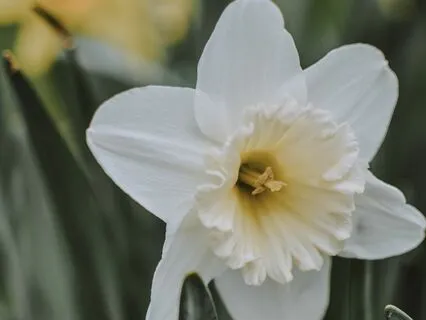 Atma Darshan: Vision Of The Self