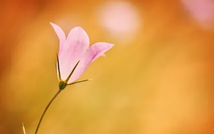 Atmospheric Grace - 396Hz Solfeggio Healing Fear