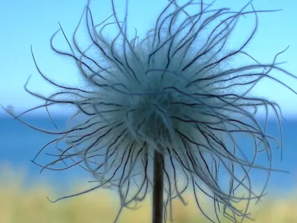 Att landa i sig själv