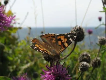 Att Möta Svåra Känslor