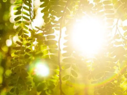 Attachment Wounds & Self-Kindness Meditation