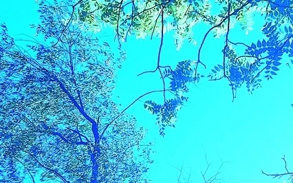 Attending To Our Embodied Experience 