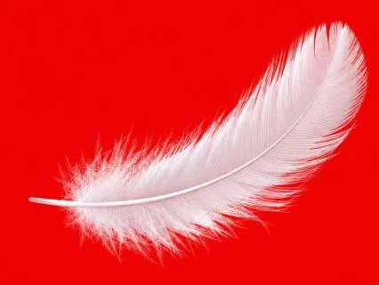 Attention As Light As A Feather