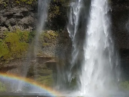 Attention Exercise On The 5 Senses