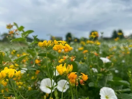 Attention Is Our Most Valuable Resource