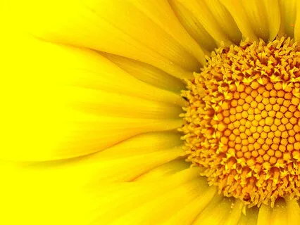 Attention on the Now: 5x5x5