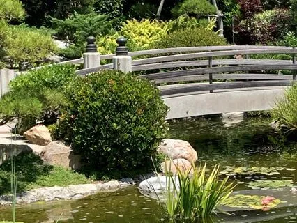 Learning How To Shift Attention For Meditation Practice