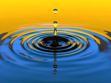 Attention To The Senses - A Simple Technique For Mindfulness