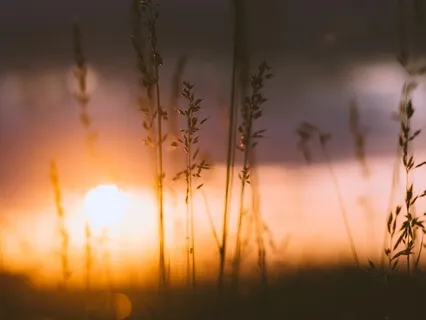 Attitude Of Gratitude Evening Practice