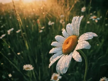 Attitude of Gratitude