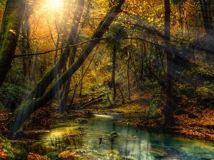 Attract Abundance 396, 432, 528, 888 Hz Tuning Forks (7.83)