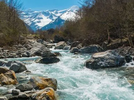 Attract Abundance: 5Hz Meditation For Wealth & Prosperity