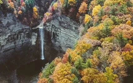 Attract Abundance And Love Immediately 777Hz