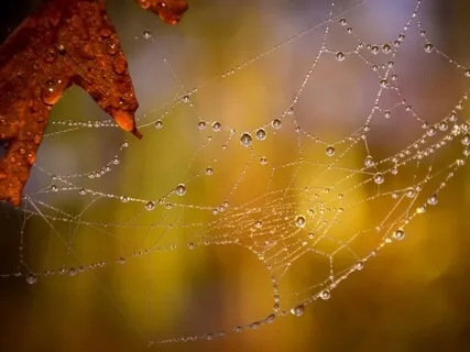 Resisting The Chase For More