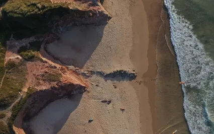 Attract Abundance Of Money, Prosperity, Luck & Wealth - Theta