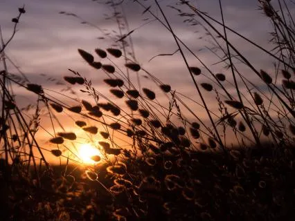 Attract Abundance Of Wealth & Money (8H Sleep Subliminal)