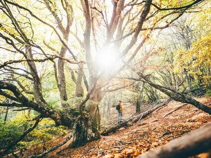 Attract Abundance: Shamanic Sound Journey