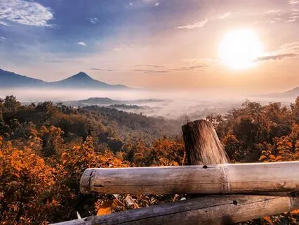 Attract Abundance With Tuning Fork Blessings (Gamma)