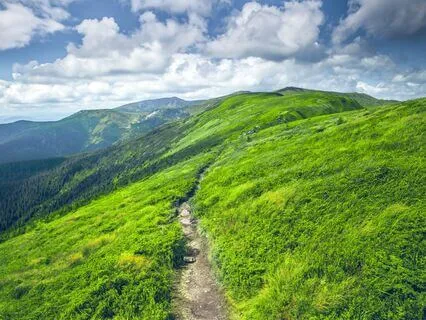 Attract Abundant Freedom! 396, 432, 528, 888 Hz Tuning Forks