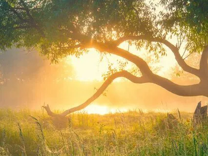 Attract Big Money Manifestation Meditation