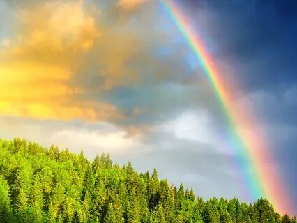 Attract Blessings! 432 + 528 + 963 Hz Tuning Forks (Delta)