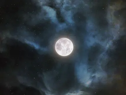 Attract Courage & Confidence Universal Law Affirmations