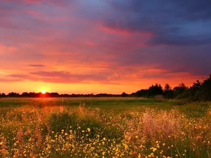 Attract Financial Freedom With Tuning Forks (Theta)