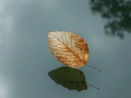 Attract Fortune In 10 Minutes