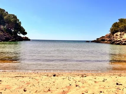 Attract High-Ticket Clients Affirmations