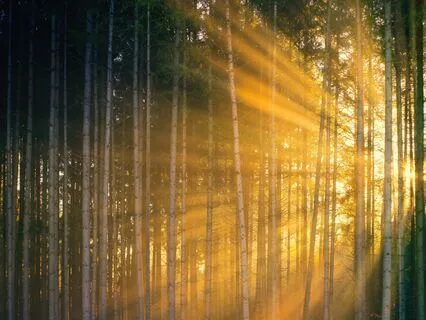 Attract Infinite Abundance With 888 Hz Tuning Fork