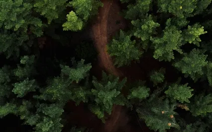 Attract Inner Peace (639Hz)