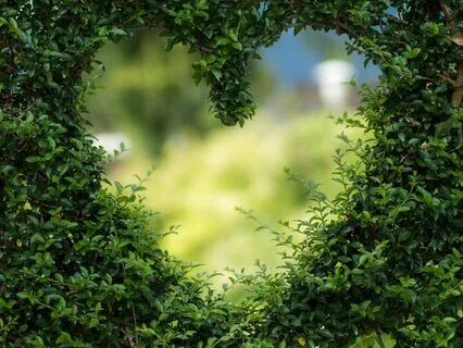 Attract Love Affirmations Meditations