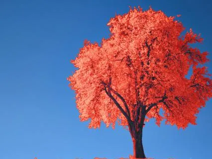 Attract Love & Relationship Harmony | 639 Hz Healing Music