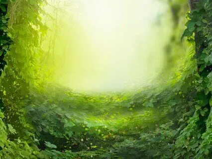 Attract Luck & Abundance:  Affirmations & Walking Meditation