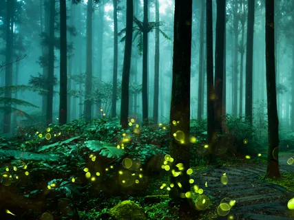 Deep Sleep - Attract Abundance 