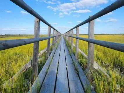 Attract Money & Wealth While Sleeping