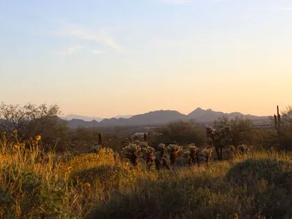 Attract More Of What You Love: 14-Minute Guided Refresh